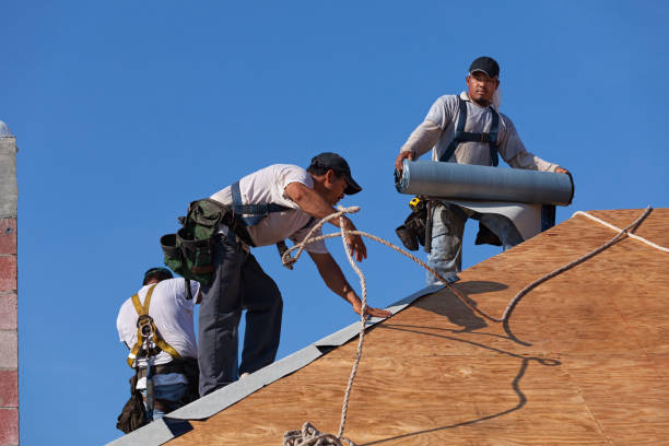 Best Storm Damage Roof Repair  in Caney, KS